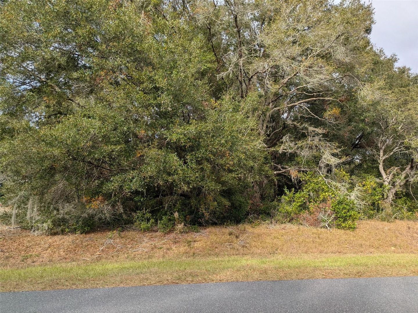 000 SW BEACH BOULEVARD, Dunnellon, FL, 34431, US, ,Residential,For Sale,000 SW BEACH BOULEVARD,OM691510MFR
