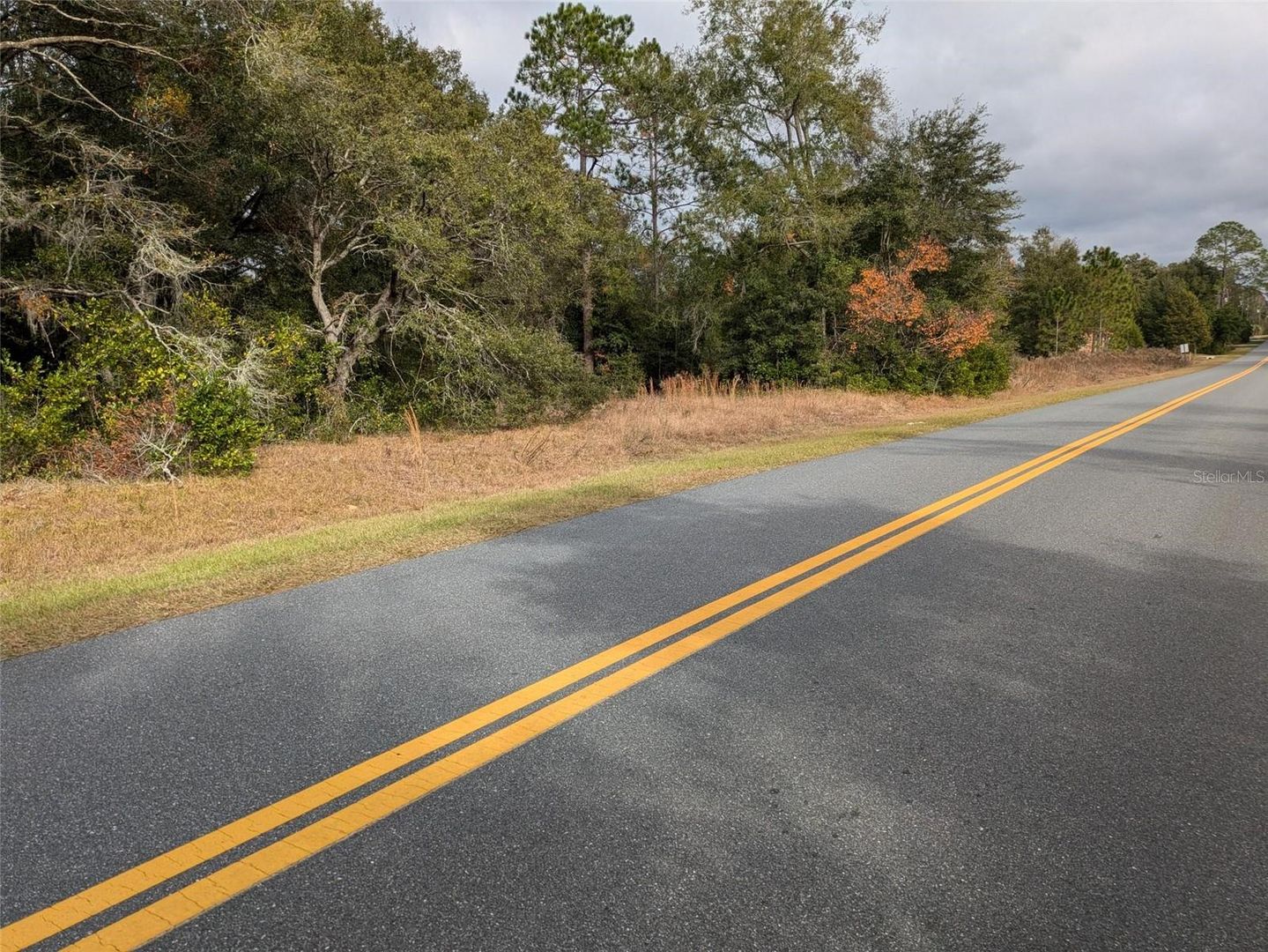 000 SW BEACH BOULEVARD, Dunnellon, FL, 34431, US, ,Residential,For Sale,000 SW BEACH BOULEVARD,OM691510MFR