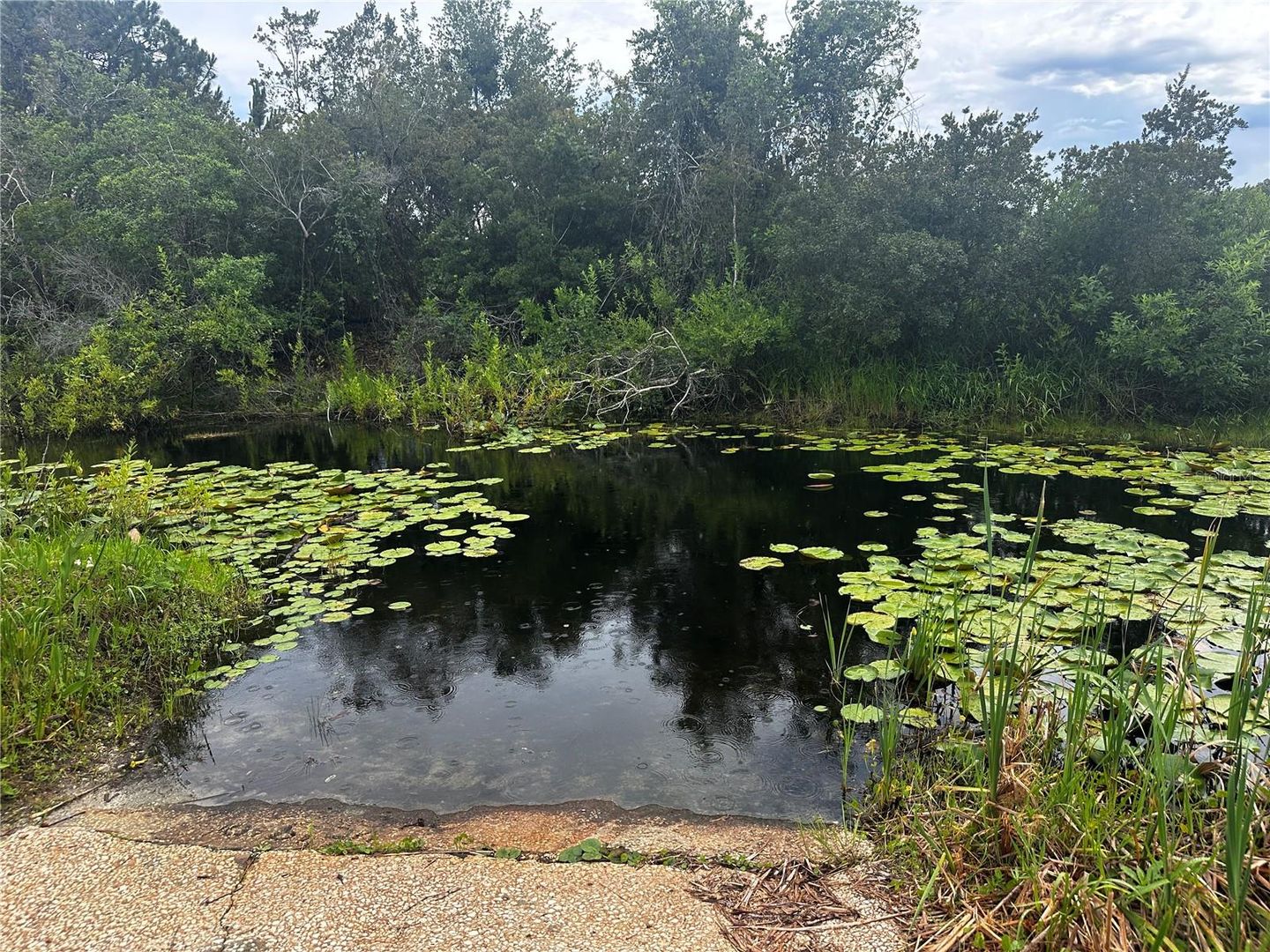 15080 NE 242ND AVENUE, Salt Springs, FL, 32134, US, 2 Bedrooms Bedrooms, ,2 BathroomsBathrooms,Residential,For Sale,15080 NE 242ND AVENUE,OM712484MFR