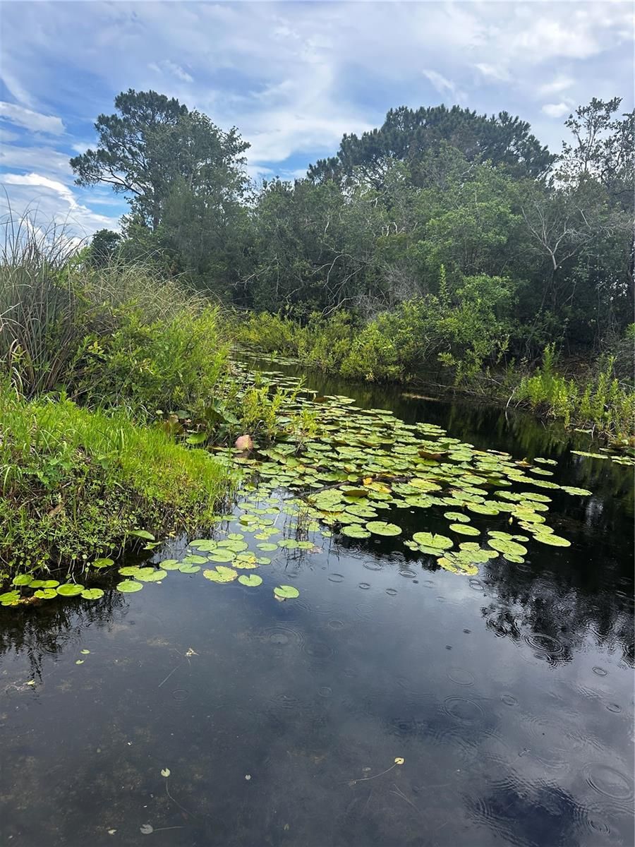 15080 NE 242ND AVENUE, Salt Springs, FL, 32134, US, 2 Bedrooms Bedrooms, ,2 BathroomsBathrooms,Residential,For Sale,15080 NE 242ND AVENUE,OM712484MFR
