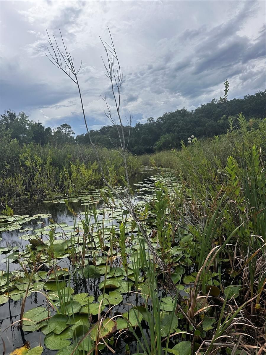 15080 NE 242ND AVENUE, Salt Springs, FL, 32134, US, 2 Bedrooms Bedrooms, ,2 BathroomsBathrooms,Residential,For Sale,15080 NE 242ND AVENUE,OM712484MFR